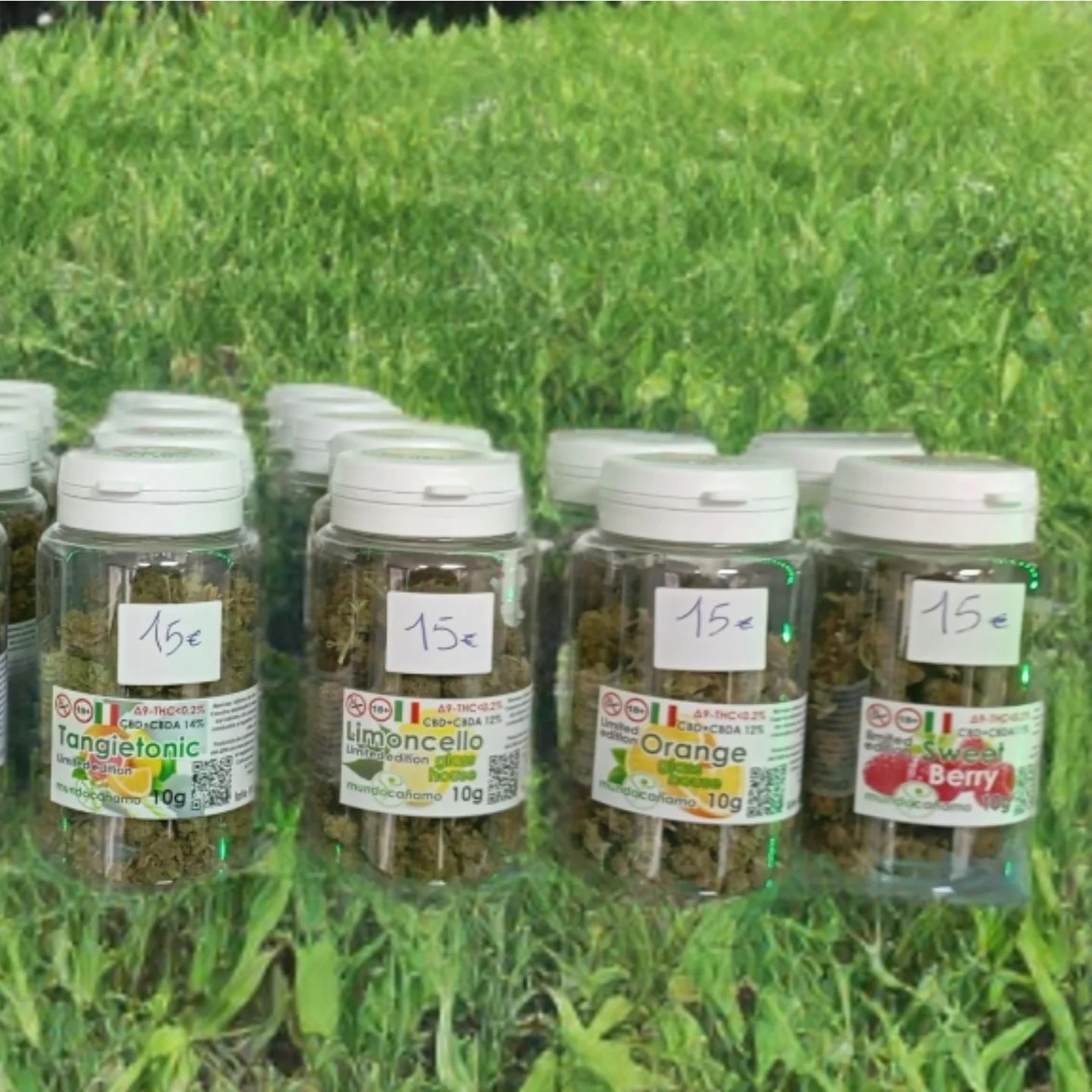 471202385 122113984646626817 5410025422972841486 n